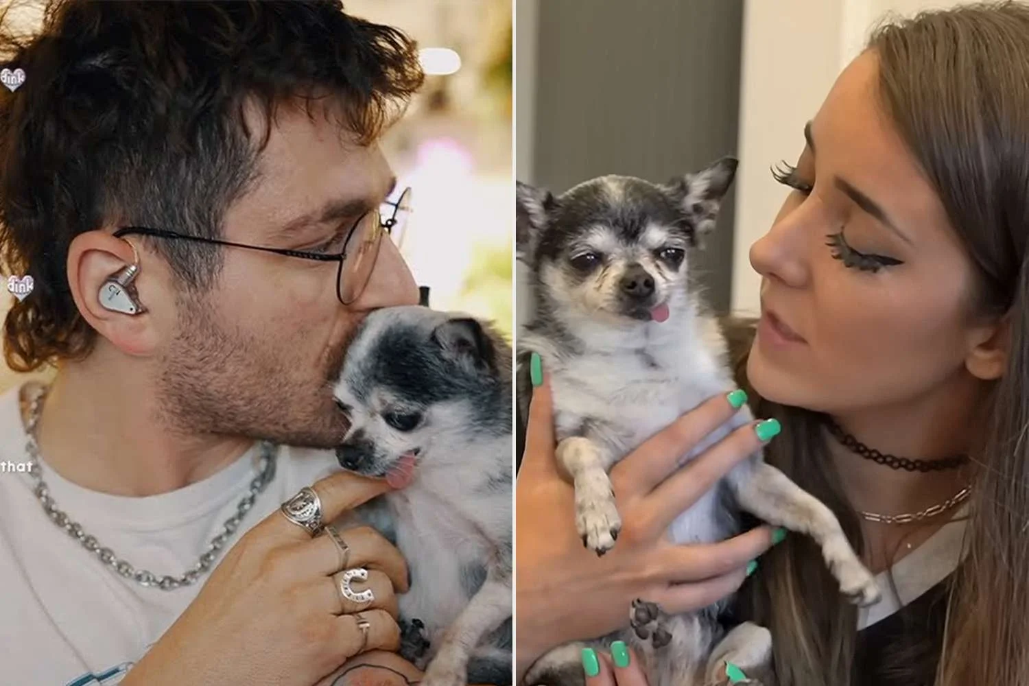 Jenna Marbles' Husband Julien Solomita Fights Back Tears as He Discusses Their Dog's 'End of Life' Plans