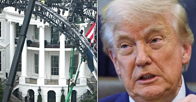 Celebrities Are Reportedly Tapping Out Of Trump's White House UFC Event