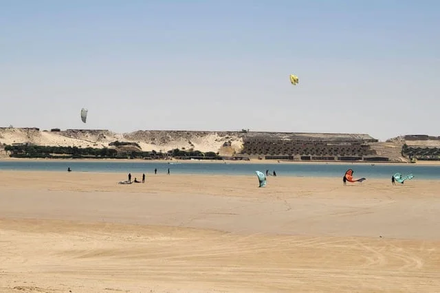 ‘The Odyssey’ Wades Into a 50-Year Land Feud in Western Sahara