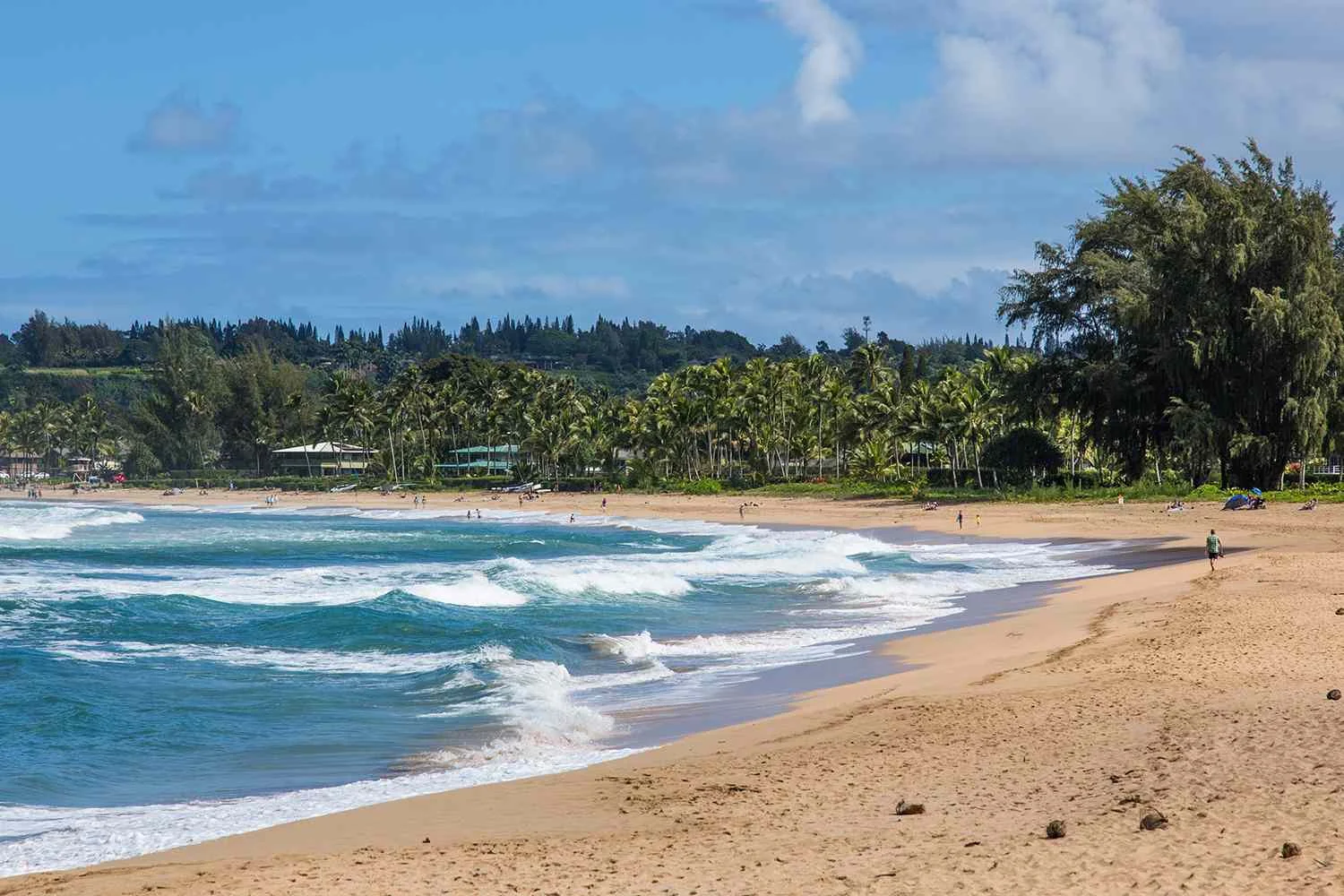 Off-Duty Lifeguard Bitten by Shark While Surfing Saved After He Was Spotted Floating with a 'Big Red Stain Around Him'